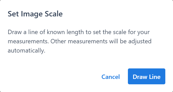 Set Image Scale dialog